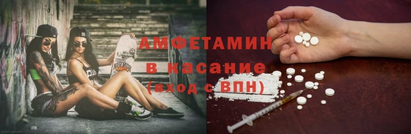 прущие грибы Волосово