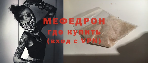 сатива Новозыбков