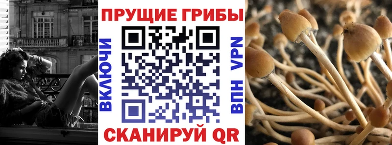 где найти наркотики Калининск МЕГА зеркало Псилоцибиновые грибы Cubensis